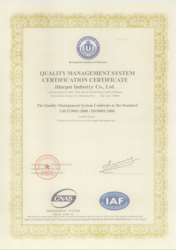 ISO 9001-BLARPET