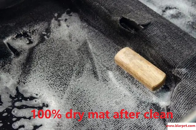 How to Clean Car Carpet & Car Mat
